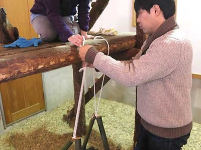 レッサーパンダにプレゼント　長野・茶臼山動物園で遊具手作り