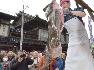 見て食べて　冬の味覚に大満足　糸魚川で「あんこう祭り」