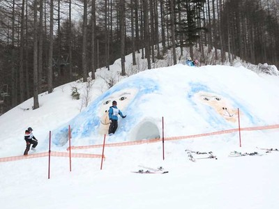 早くも猿の顔、来年の年賀状用に―　佐久穂のスキー場