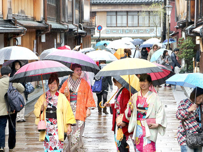 雨の茶屋街、傘の花　金沢市、和装の観光客も