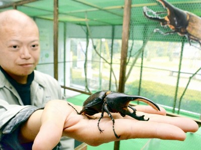 世界の昆虫に親しもう　福井市市自然史博　標本や工芸品など１２００点