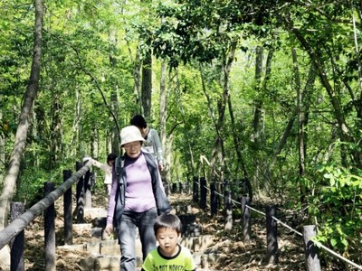 丹南総合公園に里山エリア誕生　生き物見つけ森林浴