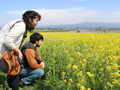 福島潟外国人客に人気　「日本の田園風景見られた」　来訪者数、昨春上回る勢い