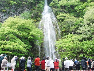 樽滝「幻のしぶき」に歓声　木島平で年２回出現