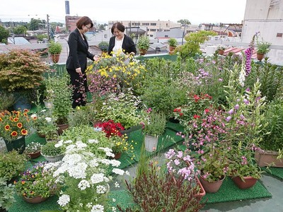 上越　季節の花々楽しんで　個人の庭など１９カ所を公開　５月２１日から来月２１日まで