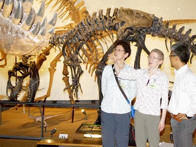 米スミソニアン博物館職員　「恐竜展示　素晴らしい」　福井県立恐竜博物館を視察