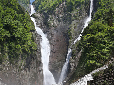 新緑に映える迫力のＶ字　称名滝とハンノキ滝