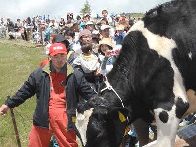 美ケ原高原で放牧祭り　観光客ら800人楽しむ