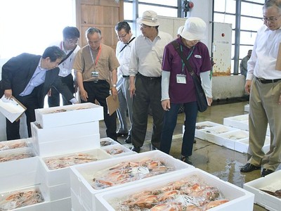 糸魚川・能生漁港　活きの良さ見て食べて　昼競りをツアーで見学　商議所考案　９月、東京からモニター