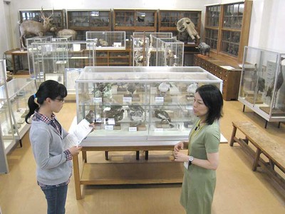 信大松本「自然科学館」定期開館　貴重な剥製・標本など展示