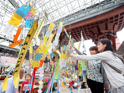 観光客らが星に願いを　金沢駅のもてなしドームに七夕飾り設置
