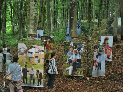 十日町　美人林に"写真の村"　地元住民らの作品展示