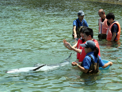 「イルカとのふれあいビーチ」がオープン　七尾市ののとじま水族館