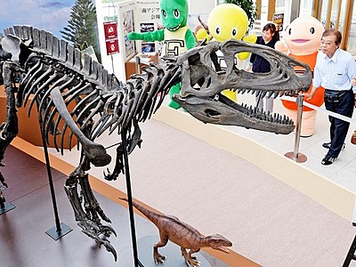 恐竜骨格　サテライト会場に出現　福井市大和田　県立博が特別展ＰＲ