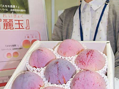 県果樹試験場開発のスモモ新品種　「麗玉」の商標でブランド化