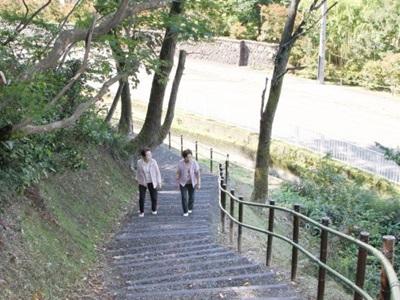 もみじ園－松籟閣　遊歩道で巡りやすく　全長２４０メートル、５分で結ぶ　長岡市・越路