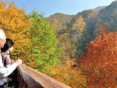 滝と紅葉、錦に染まる松川渓谷　高山の名所満喫