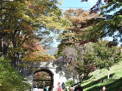上田城跡公園で「けやき並木紅葉まつり」始まる