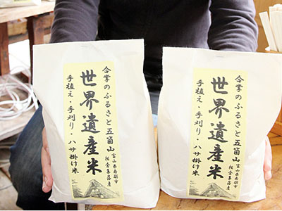「世界遺産米」食べて！　相倉で収穫、４０袋限定販売