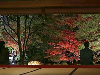 「名画」濃淡鮮やか　紅葉のライトアップ　新潟・北方文化博物館
