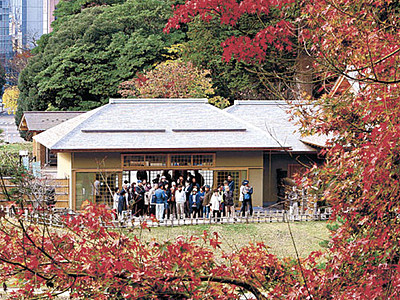 紅葉と石垣、鮮やか競演　金沢城公園玉泉院丸庭園