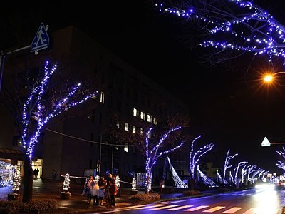 新潟県内一　冬の輝き２．７キロ　街路樹の電飾始まる　見附