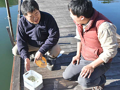ワカサギ釣り、今季も美鈴湖で　１月２日から解禁