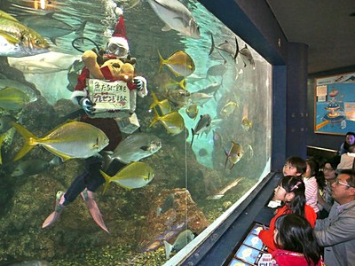 魚たちにも贈り物　泳ぐサンタ参上　餌付けショー人気　長岡・寺泊の水族館