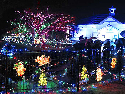 色とりどりの光、旧測候所包む　飯田で電飾イベント