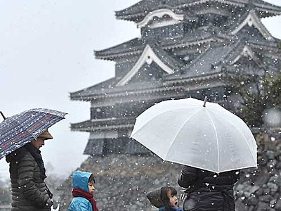 松本城に舞う雪楽しむ　漆黒の天守見上げ