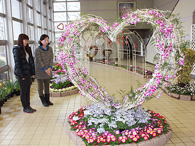 「花のハート」彩りカラフルに　砺波・県花総合センター