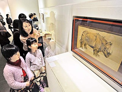 動植物や人体構造を図画で詳細に　福井市美術館、江戸から現代作品
