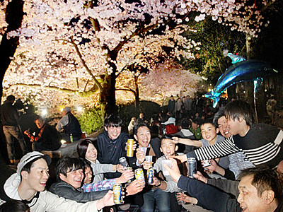 夜桜に「乾杯」　富山市松川べり