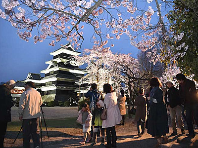 夜桜と天守「春の絵巻」　松本城でライトアップ