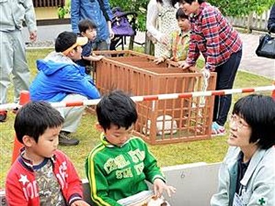 福井市のあさくら水の駅１周年　食、動物触れ合い満喫