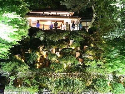 長岡・楽山苑ライトアップ　闇夜にくっきり新緑鮮やかに