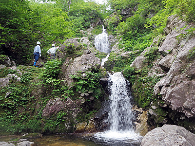 利賀・水無湿原「幻の滝」への登山道整備　来月中旬の開通目指す
