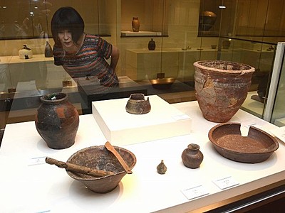 福井城下の陶磁器一堂　県陶芸館で特別展