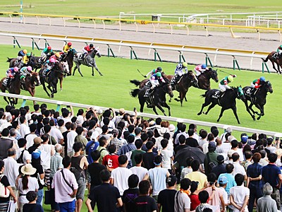 新潟夏競馬が開幕　「直千」一気の迫力満点