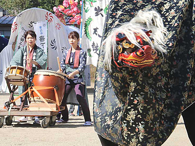 飯伊の獅子舞、秋も熱い　飯田で10月16日フェス