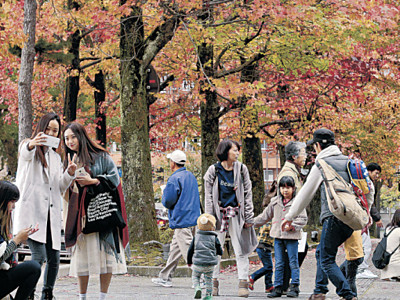 深まる秋、紅葉の街　金沢市のアメリカ楓通り