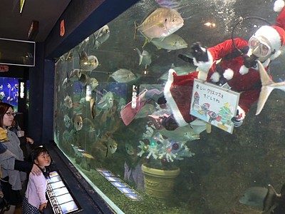 サンタさんがお魚に餌付け　長岡・寺泊水族博物館