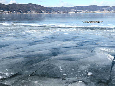 諏訪湖が全面結氷　御神渡りへ高まる期待