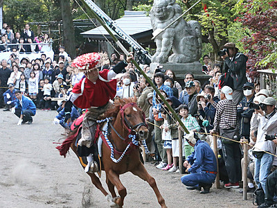 人馬一体 勇壮に　下村加茂神社・やんさんま祭り