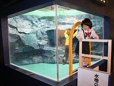 現・上越水族博物館１４日終了　水槽に入る企画
