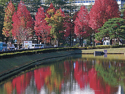 水面も秋の色 金沢城公園「いもり堀」