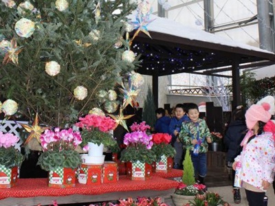 華やか大型クリスマスツリー登場　秋葉区・県立植物園