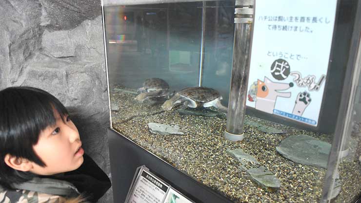 長野 県 水族館