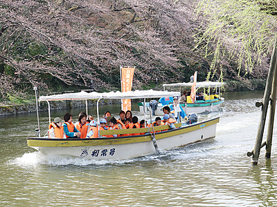 船上から桜楽しむ　高岡古城公園・遊覧船運航スタート