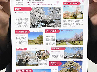 桜の名所まとめたチラシ　原村「いろいろな花に出合って」